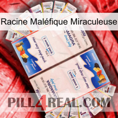 Racine Maléfique Miraculeuse kamagra1